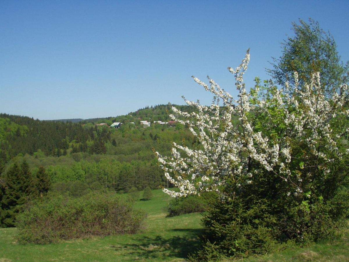 Ferienwohnung Penzion Na Slunicku Mariánská Exterior foto